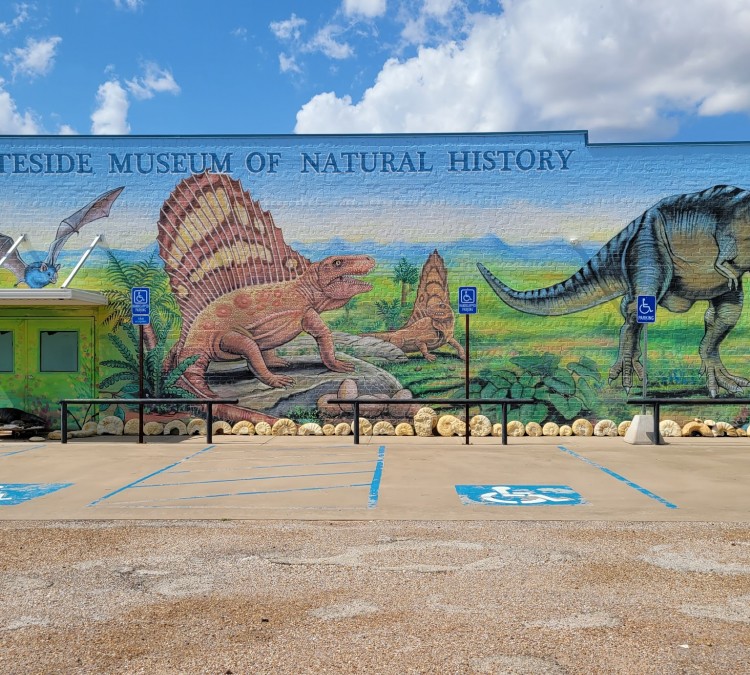 The Whiteside Museum of Natural History (Seymour,&nbspTX)
